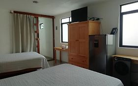 Casa Caracol young guesthouse